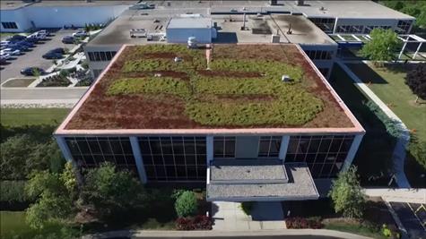 badger-meter-green-roof